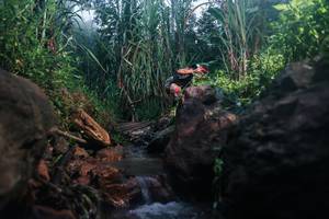 BIB: 
                            <button type="button" onclick="openModal(26422667)" class="btn btn-primary btn-sm float-right btn-popup" data-toggle="modal" data-target=".modal-high-quality">
                        <i class="fas fa-shopping-cart"></i> Add to Cart
                    </button>
                                            <button type="button" onclick="isThisMe(26422667, true)" class="btn btn-success btn-sm float-right btn-popup btn-isme hidden" data-toggle="tooltip" data-placement="bottom" title="นี่คือรูปของคุณใช่ไหม คลิกที่นี่เพื่อเอาเข้าอัลบั้ม">
                        <i class="fas fa-plus"></i> Add to album
                    </button>
                    <button type="button" onclick="isThisMe(26422667, false)" class="btn btn-warning btn-sm float-right btn-popup btn-isnotme hidden">
                        <i class="fas fa-ban"></i> Remove from album
                    </button>